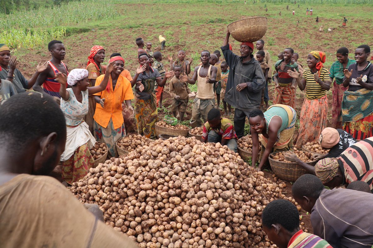 Harvest : Batwa of Kayanza