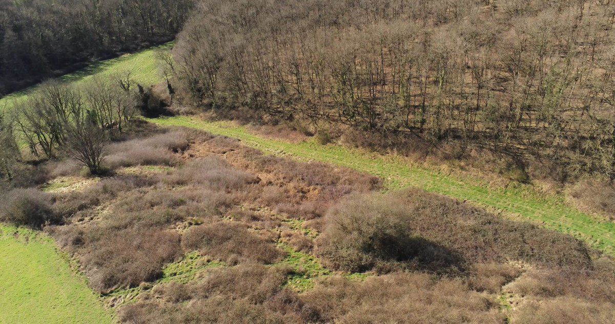 Tel #ArthusBertrand je survole la campagne tarnaise #drone. 
Nous voici donc sur une parcelle abandonnée 
0 phytos, 0 engrais, 0 animaux 

C'EST ÇA LA FRANCE QUE VOUS VOULEZ !!!