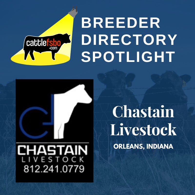 It’s finally Friday! Today we're highlighting Chastain Livestock. Check out their profile and post your own ranch to our breeder directory! Have a great weekend! #Cattle #CattleForSale #CattleFSBO #FeatureFriday