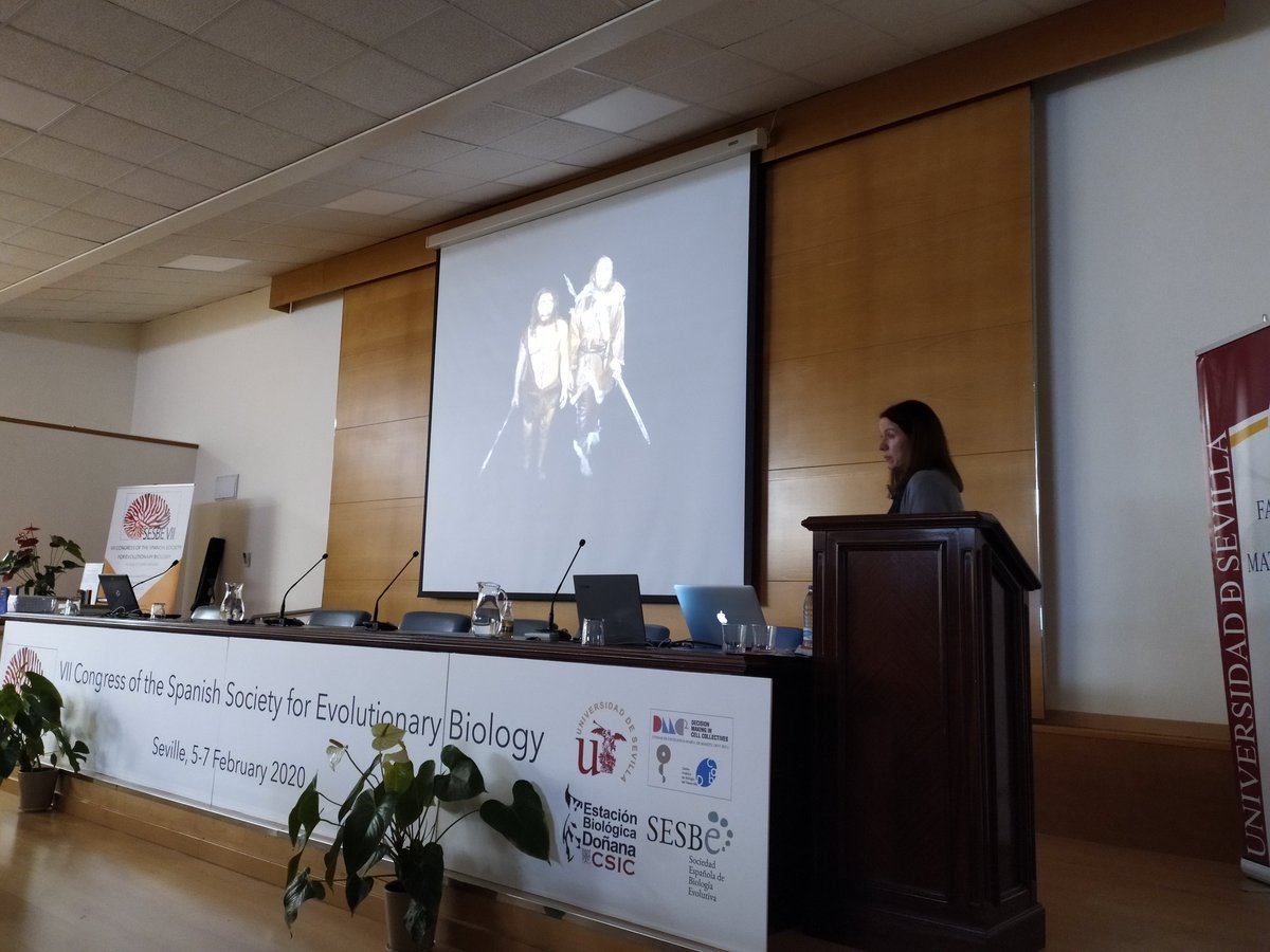 sesbe2020 tweet media