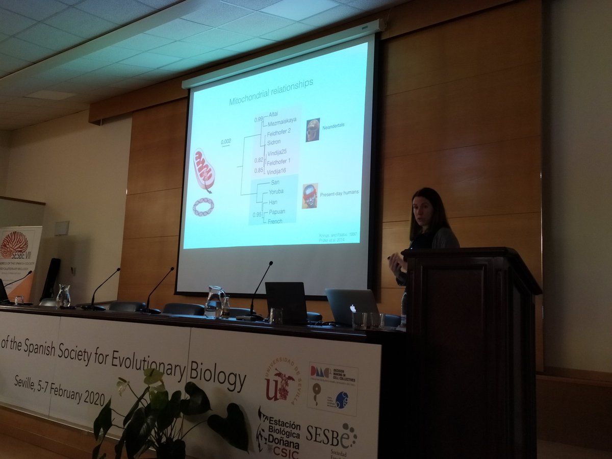 sesbe2020 tweet media