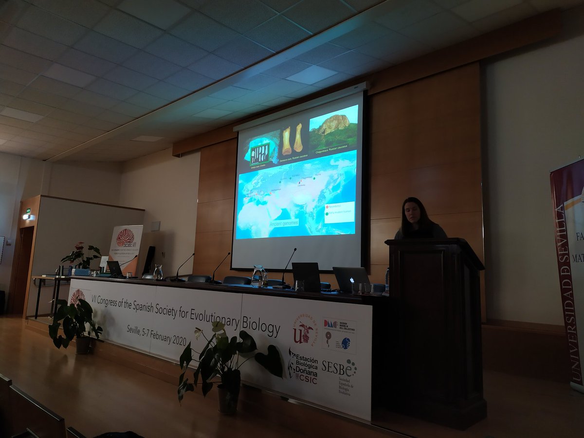 sesbe2020 tweet media