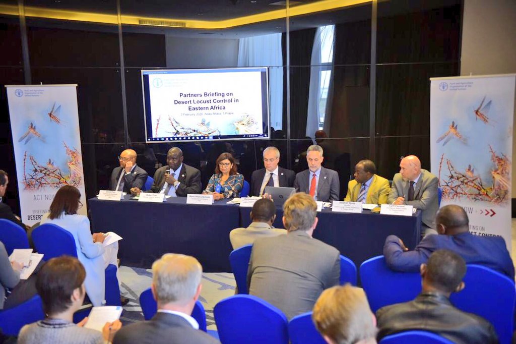 FAO Eastern Africa (@faoeastafrica) on Twitter photo If we fail to mobilize required funds today, the #desertlocust will continue to breed and multiply, requiring huge investments later, which otherwise could be used for other dev't programs.<a href="/FAO/">Food and Agriculture Organization</a> says on #Desertlocust Partner briefing.
<a href="/FAOLocust/">FAO Locust</a> <a href="/FAOemergencies/">FAO in Emergencies</a> <a href="/FAOAfrica/">FAO in Africa</a> If we fail to mobilize required funds today, the #desertlocust will continue to breed and multiply, requiring huge investments later, which otherwise could be used for other dev't programs.<a href="/FAO/">Food and Agriculture Organization</a> says on #Desertlocust Partner briefing.
<a href="/FAOLocust/">FAO Locust</a> <a href="/FAOemergencies/">FAO in Emergencies</a> <a href="/FAOAfrica/">FAO in Africa</a>