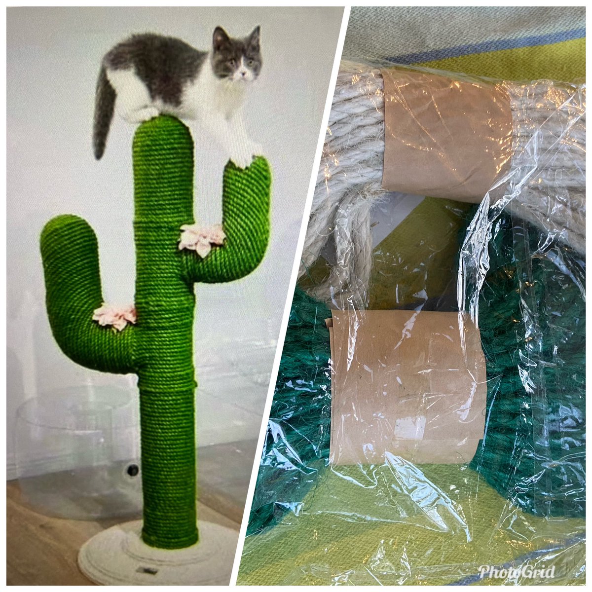 teejayar's tweet photo. @AskPayPal @PayPal I ordered a cat tree and got two ropes. I opened a case in the resolution center and my 2 options are to return the item to Hong Kong with tracking (at my expense) or close the case. This will probably cost as much as I paid for the item. Is this a joke? https://t.co/qolS3Xrg1w
