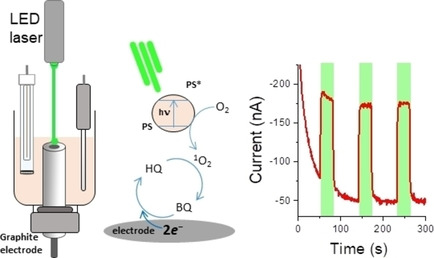 ChemPhotoChem's tweet image. Photoelectrochemistry for measuring the #photocatalytic activity of soluble #photosensitizers, #SingletOxygen (K. de Wael et al.) doi.wiley.com/10.1002/cptc.2…