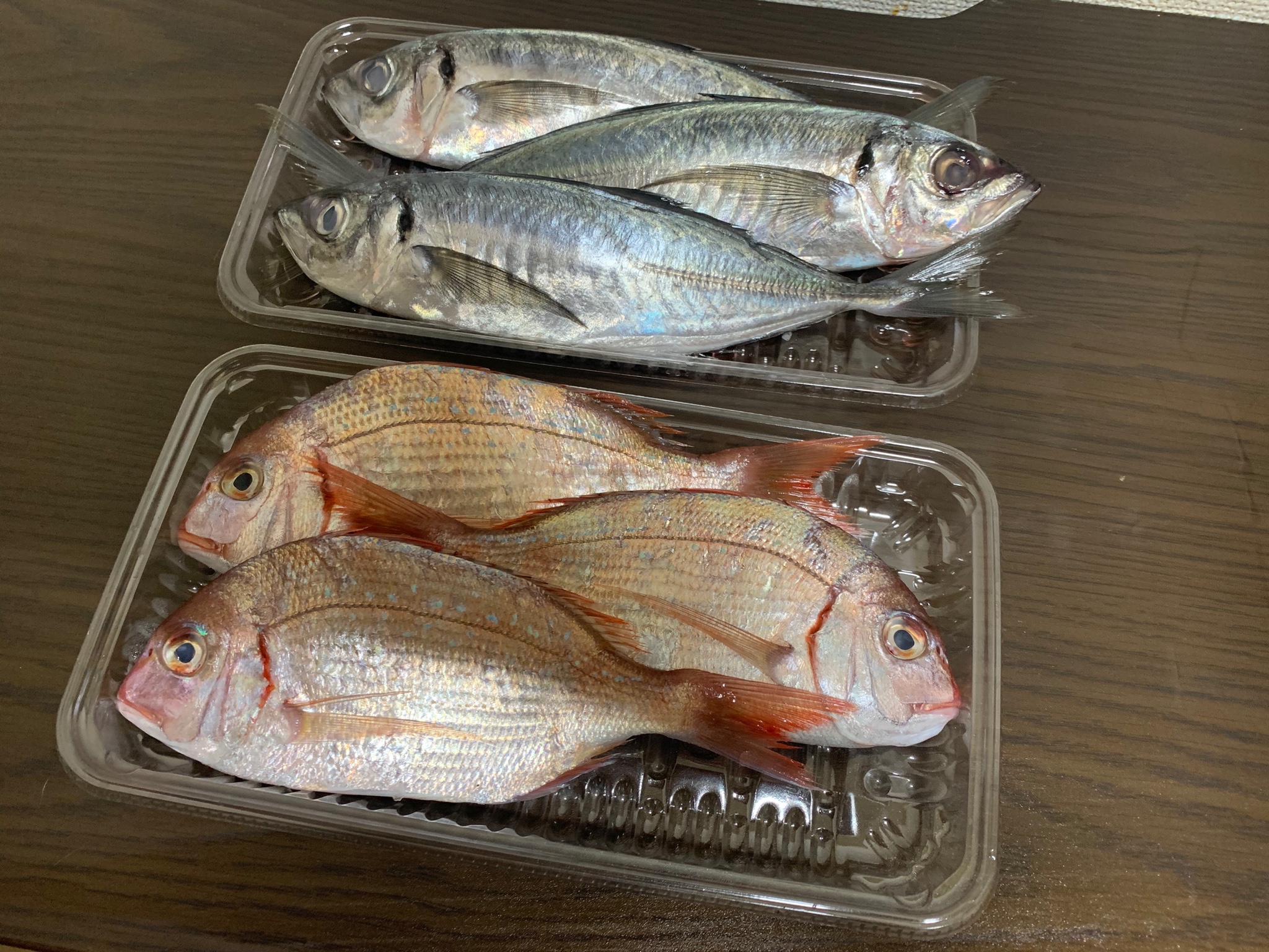 逝凪 アジとチダイが半額だった アジは塩焼き 刺身 なめろうに チダイは皮付きで刺身にして湯引き 半分は水気を切って冷蔵庫で1日熟成 全部で300円 かんぱーい ﾉ T Co 6cnnzpyjb0 Twitter