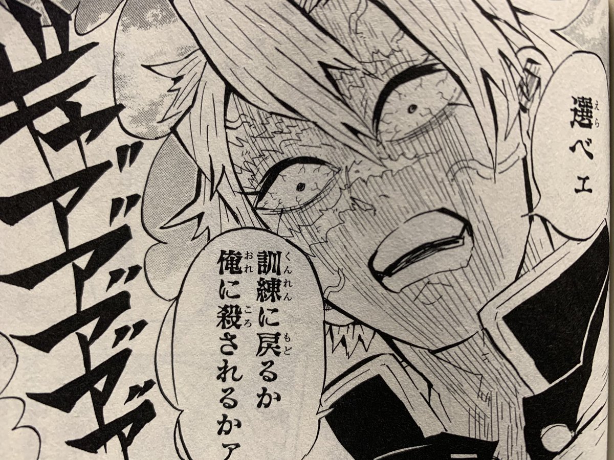 鬼滅の刃 名シーン Na Twitteri 実弥 選べェ訓練に戻るか俺に殺されるかァ 善逸 ギャアアアアア 勘弁してェェエェ ギャッ ギャモッギャアアアンヌ 実弥 うるさい