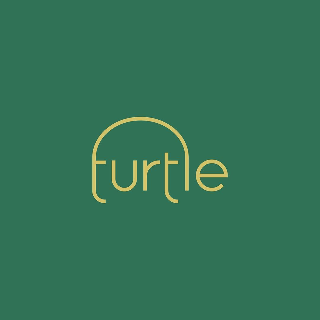 Logo concept " turtle 🐢 " 
————————————
If you're looking for a logo design.
↳ ramin@nasibov.me