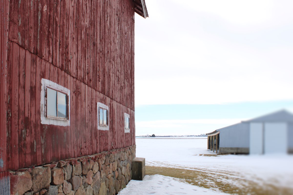 FarmsSoules's tweet photo. Is there anything better than a rustic barn? We are ready here for warmer weather and planting season. The machines are greased and ready to go! Just waiting for the soil temperatures to be ready.
#barnphotos #barnpictures #barn #rusticbarns #farmingphotos #farmpics #agriculture https://t.co/iSsOL7Sr5Q