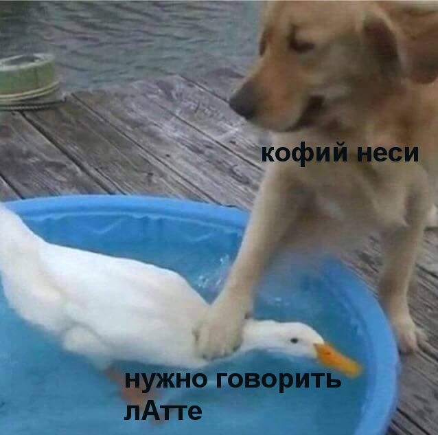 EQLM_WNWsAIgveF?format=png&name=small