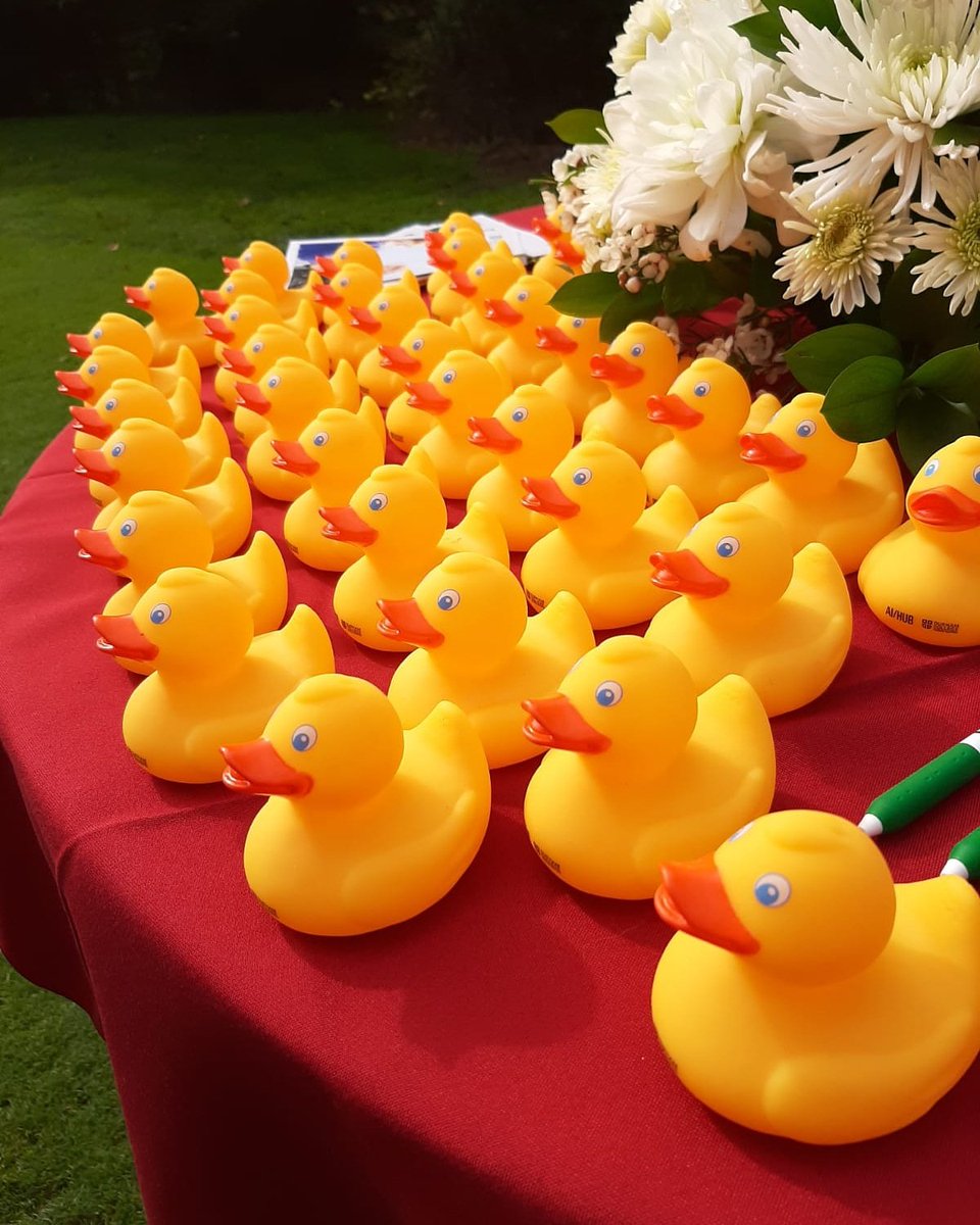 TheAIHub's tweet photo. happy #Friday everyone. The #debuggingduck is busy in a series of meetings today : #EnableAI 2020, opening of the Centre for Cybersecurity Innovation , #AIinAjax and much , much more!
#DCproud #successmatters https://t.co/JmYTw24gG6