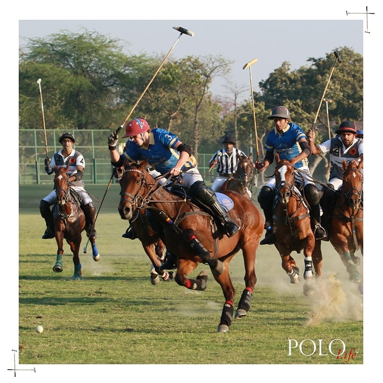 APOLOLIFE's tweet photo. Block the world out, concentrate on what's ahead and dive in for the perfect swing.

#PoloLife #SpringPolo #TheGoldCup #ScindiaGoldCup #Scindia #Polo2020 #PoloSeason2020 #DelhiSpringPolo #FebruaryPolo #PoloSport #PoloLifestyle #Lifestyle #IndianPolo #PoloIndia #DelhiEvents https://t.co/8aVwPrNfAk
