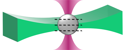 ManlioTassieri's tweet photo. At #UniofNottingham, #HeriotWattUni and #UofGlasgow we are #developing a #bespoke new #instrument for #optical #imaging, #micromechanical #sensing the #3D #cell #cultures.
Our #vision is to #explore the #microworld from a #cell’s perspective.
https://t.co/dh5xjgIf4i https://t.co/BXb7PPKCr1