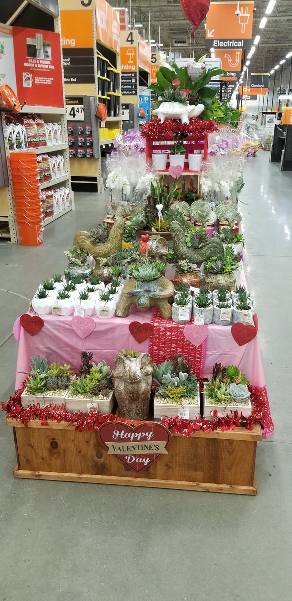 MoveandLose's tweet photo. Happy Valentine's Day from HD 130 Cascade and Costa Farms! Thanks Teresa and team for an awesome partnership. "Orchids anyone?" https://t.co/m3NVgacFzC