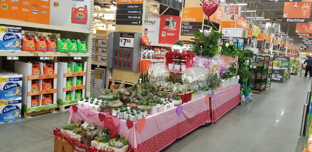 MoveandLose's tweet photo. Happy Valentine's Day from HD 130 Cascade and Costa Farms! Thanks Teresa and team for an awesome partnership. "Orchids anyone?" https://t.co/m3NVgacFzC