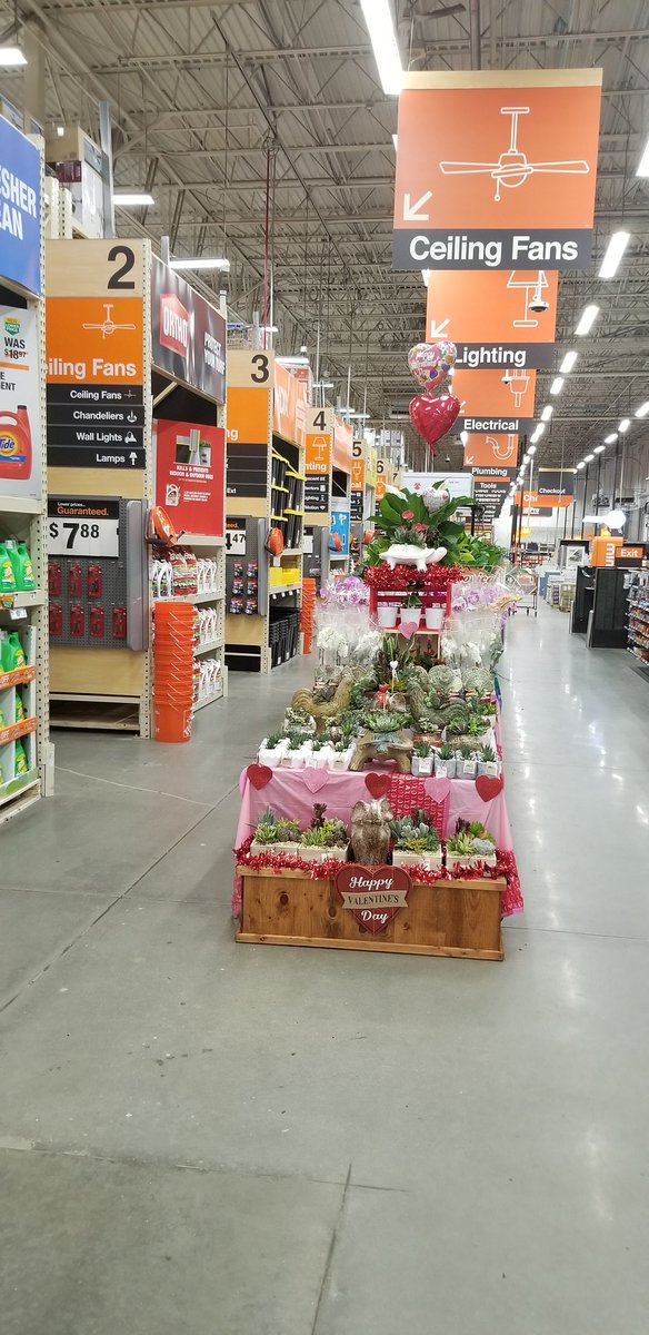 Happy Valentine's Day from HD 130 Cascade and Costa Farms! Thanks Teresa and team for an awesome partnership. "Orchids anyone?"
