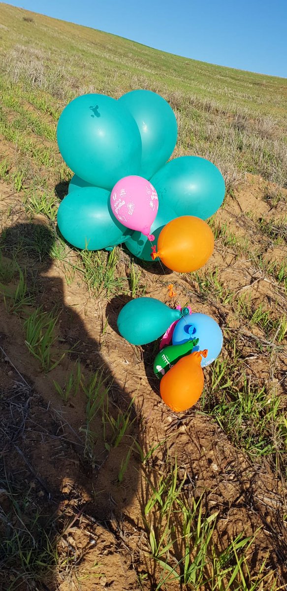 View image on Twitter