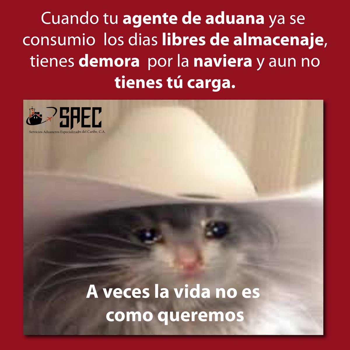 SAECVenezuela's tweet photo. 📍 En SAEC sabemos muy bien los intereses financieros que manejamos y para nosotros es de suma importancia asesorar y disminuir los costos para nuestros aliados comerciales, es por eso que tenemos una gestión operativa muy afinada.

#MemesLaborales  #Agenciamiento #SomosSaec https://t.co/QLsd4ot9bs