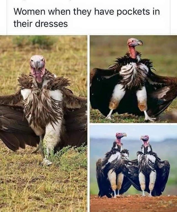 TFLN's tweet photo. We get it. https://t.co/IYTVgj0I7i