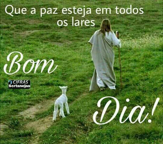Anderson Campos on Twitter: Anderson Campos on Twitter: