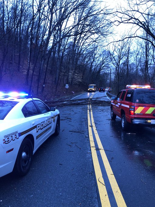 View image on Twitter