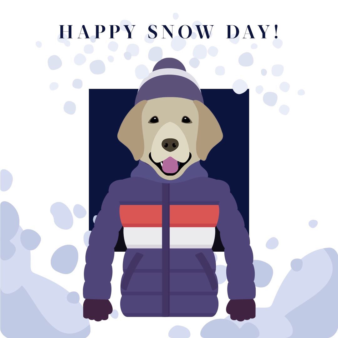 BrowsersLAB's tweet image. Happy Snow Day Memphis! #memsnow