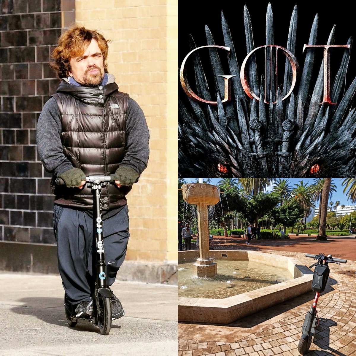 HoplaTours's tweet photo. Vite réservez votre #trottinette électrique avec @hoplatours avant la guerre à la #game of #thrones #tyrion a déjà sa trottinette #hoplatours
#Enjoy Your #city #casablanca https://t.co/zlOvE2kP9c