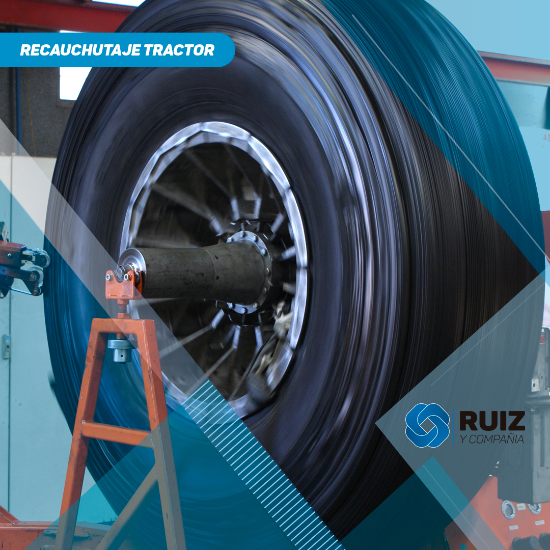 RuizyCia's tweet photo. 🚜RECAUCHUTAJE TRACTOR.
Contamos con una capacidad mensual de hasta 2.500 neumáticos agrícolas. Producimos nuestras propias materias primas. Garantizamos nuestros procesos y materias primas.
#reconstructora #camion #agricola #vial #mineria #retread #recapadora #neumaticos https://t.co/ICXi76wP8I