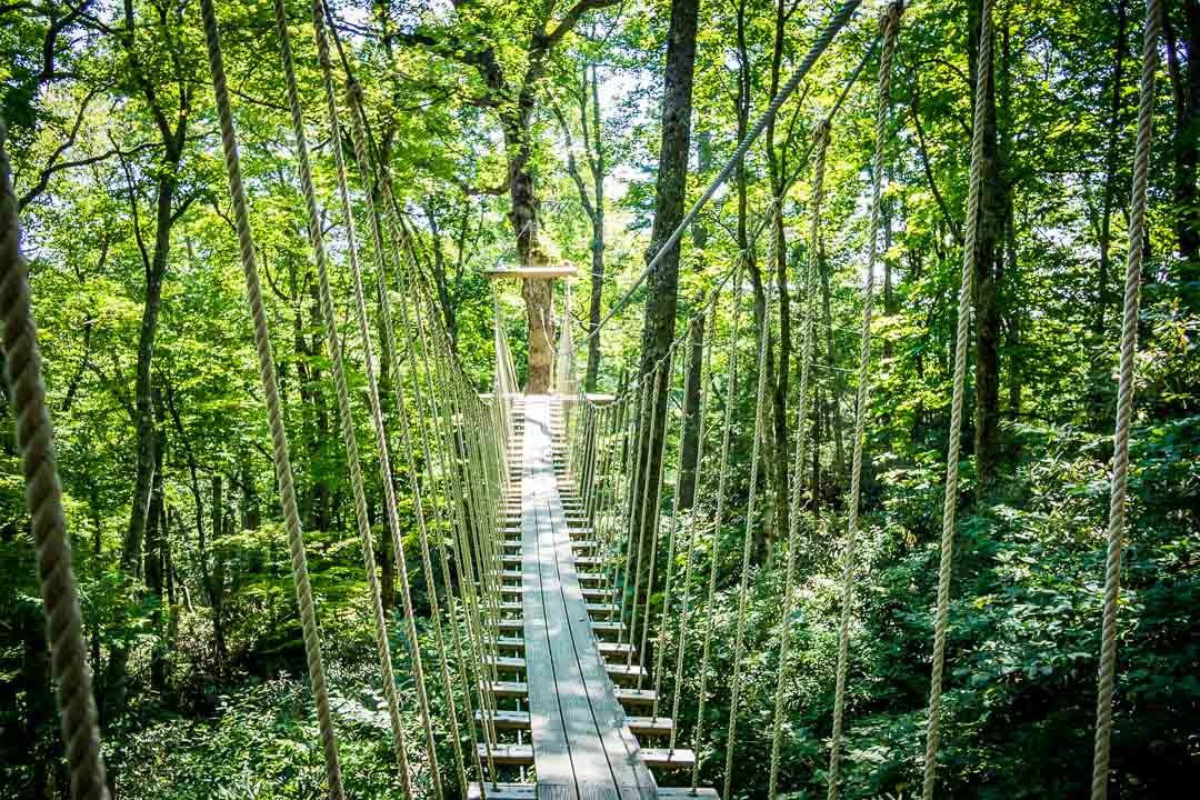 HighGravityAdventure tweet media