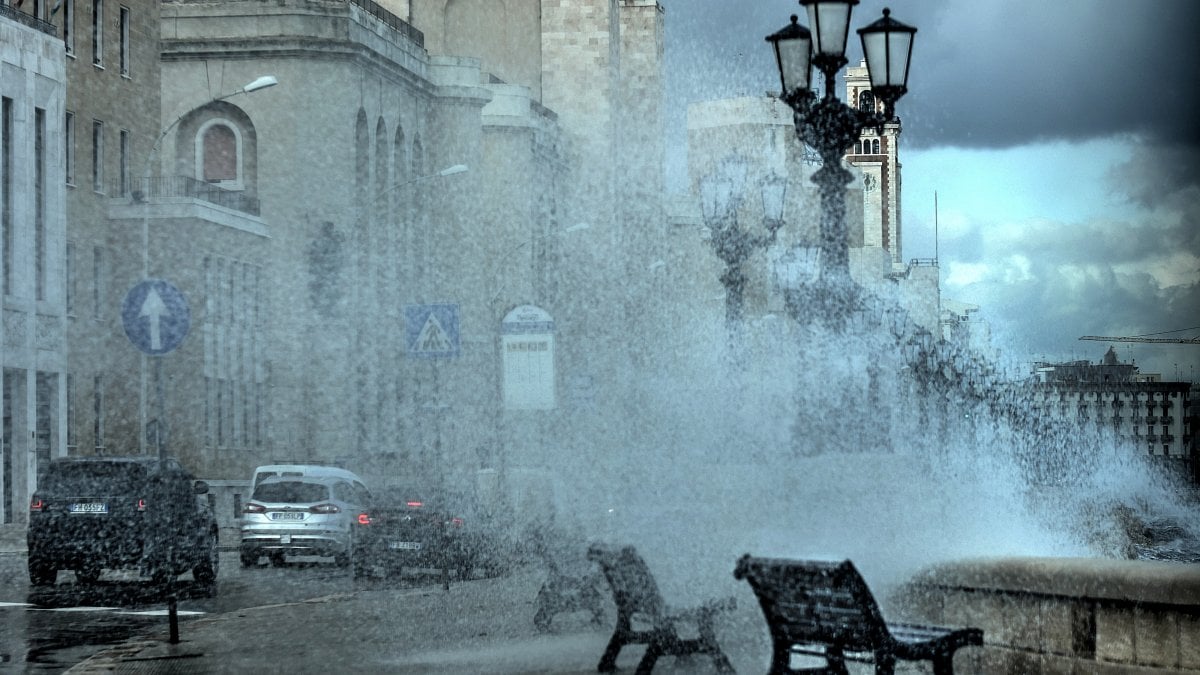 #innalzamentomari ed #emergenzaclimatica sempre più all'ordine del giorno a #Bari e in #Puglia> dopo il gennaio più caldo degli ultimi 30 anni in #Europa è stata la volta del #ventopolare> l'#informazione come sempre non spiega le cause e non si capisce che occorre agire> #ActNow