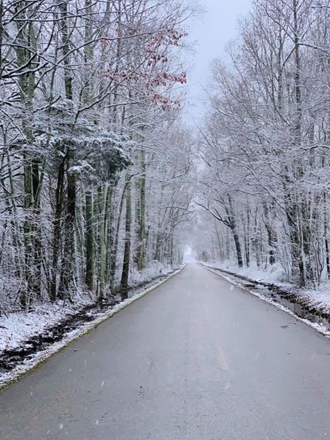 Good Friday Morning Friends! We want to see your snow pictures and videos. Leave them in the comments on this post. As always, call us anytime if you need assistance. 931-723-8088.
#ServproofCFW #MotherNatureisStunning