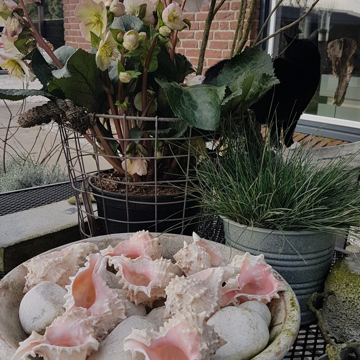 DeSchelpenshop's tweet photo. #schelpen #decoratie op maat https://t.co/pCScQmuXYa
