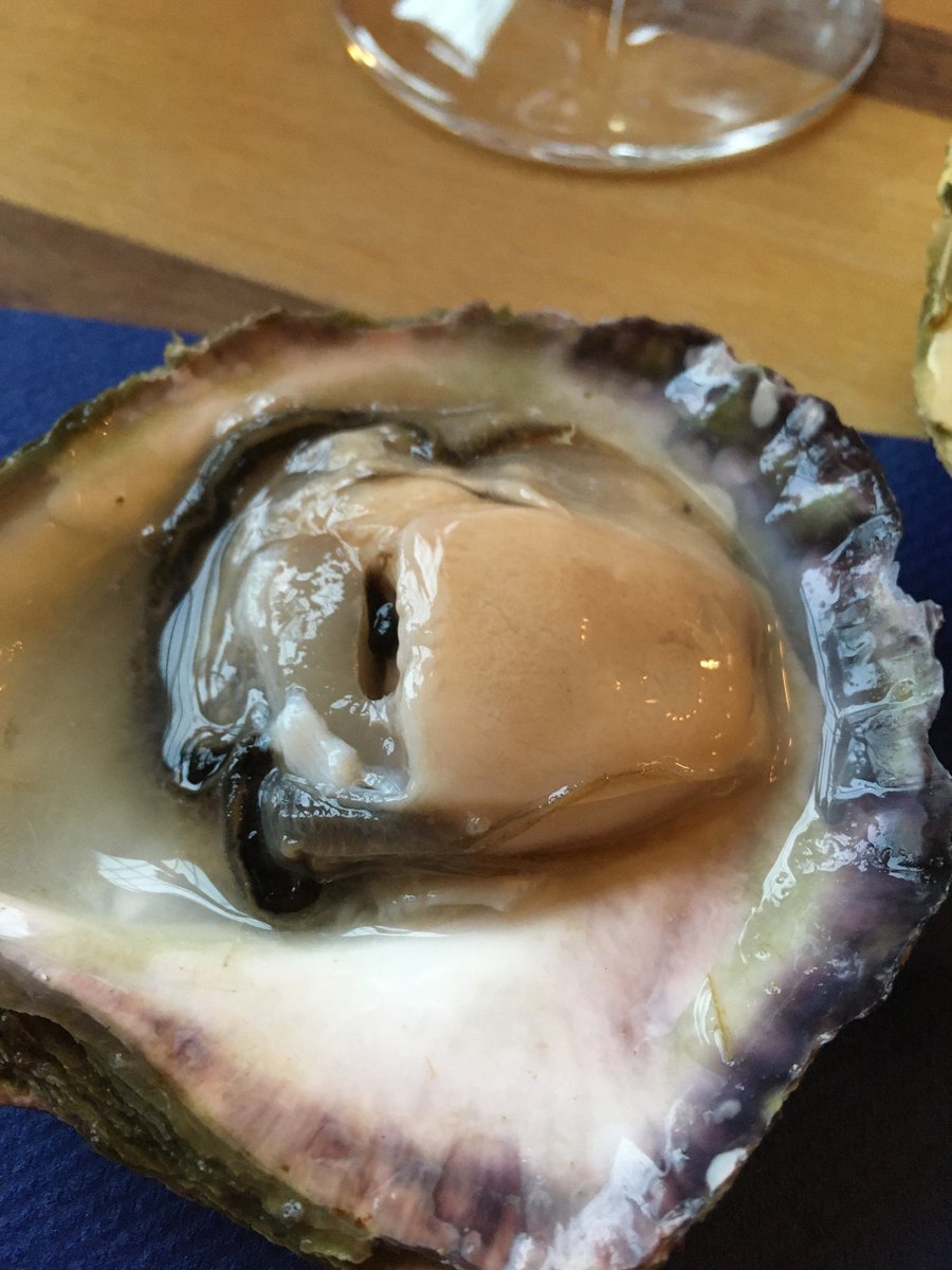 ChefColinPallas's tweet photo. The eating tour of Gothenburg continues at the Feskekörka (Fish Church) at Restaurant Gabriel. Wow! https://t.co/xqaUxCu7AR