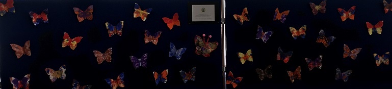 Did you know butterflies taste with their feet? We  thought you'd like to know that, especially as you are doubtless admiring the butterflies below, all made by the budding artists in EYFS from <a href="/SuttonGreenPS/">Sutton Green Primary School</a>. See the display at Little Sutton Library. cwac.co/X8XC5