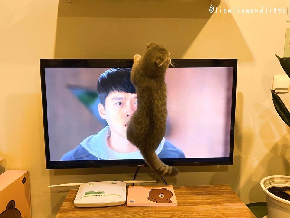 IBGRGNvip's tweet photo. น้องใจเย็น ก๊อนนนนน😂 #CrashLandingOnYou https://t.co/rvSicbjMpZ