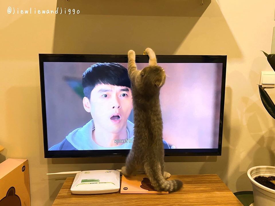 IBGRGNvip's tweet photo. น้องใจเย็น ก๊อนนนนน😂 #CrashLandingOnYou https://t.co/rvSicbjMpZ