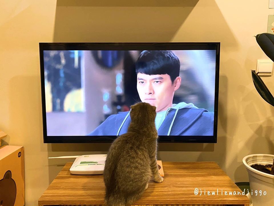 IBGRGNvip's tweet photo. น้องใจเย็น ก๊อนนนนน😂 #CrashLandingOnYou https://t.co/rvSicbjMpZ