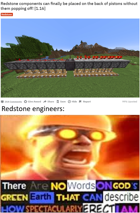Dank Memes On Twitter Stop My Penis Can Only Get So Erect Https t 