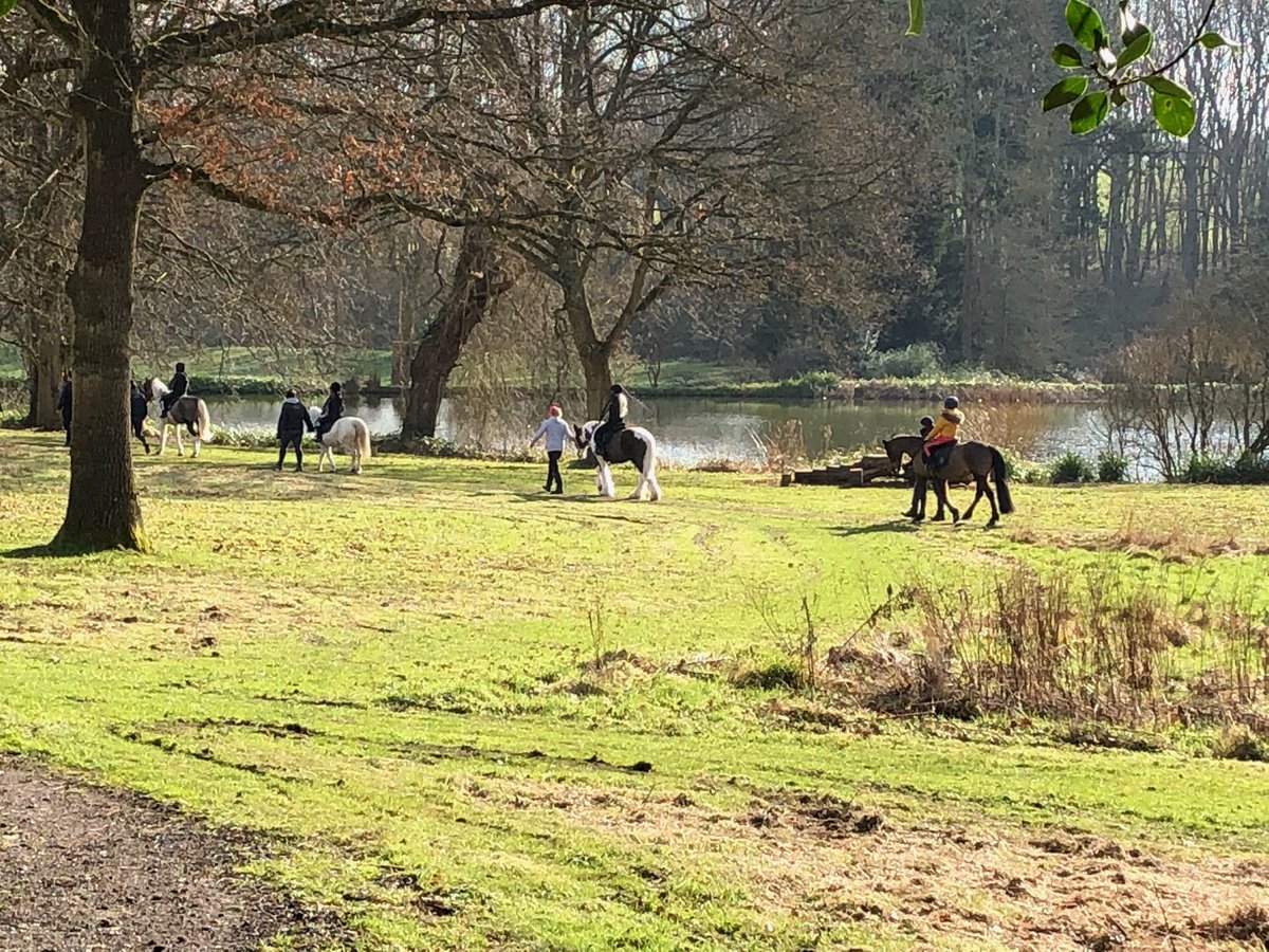 RAASchoolGatton's tweet photo. Some of our pupils are enjoying today's beautiful weather with a lovely ride by the lake. #GattonPark #GattonLearningforLife #HorseRide https://t.co/SLk2uswBMY