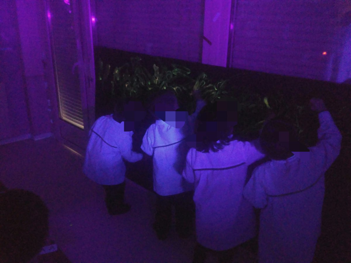 azateacher's tweet photo. In 3 years we enjoyed playing with black light! https://t.co/9SzgBsv3NE
