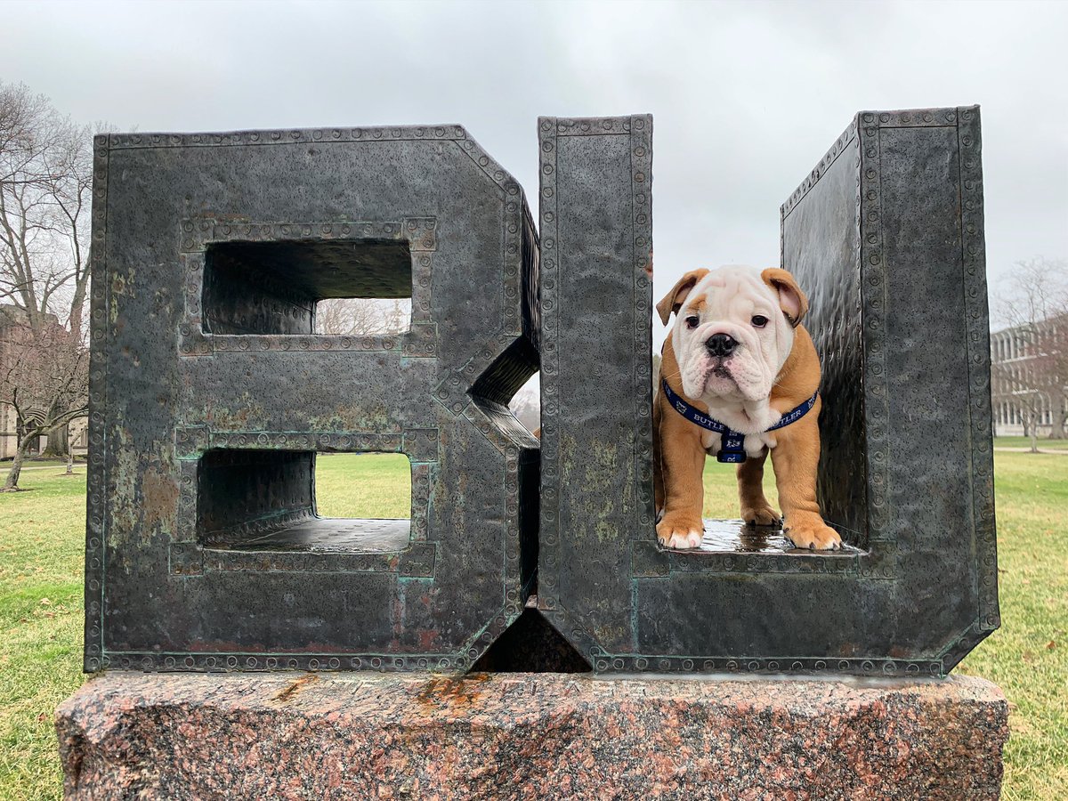TheButlerBlue's tweet photo. It’s a #BUtiful day to be a Bulldog. Happy Friyay! https://t.co/z9PJTVSKrS