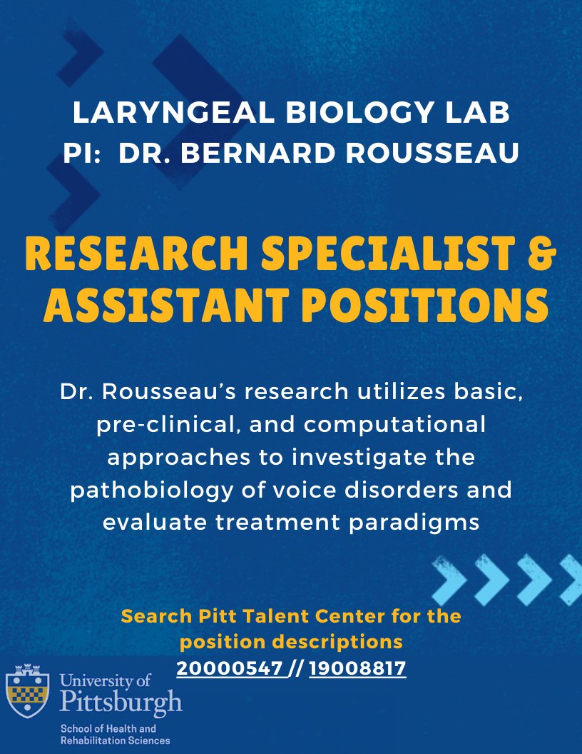 Pitt Communication Science and Disorders on Twitter "Job Postings Dr