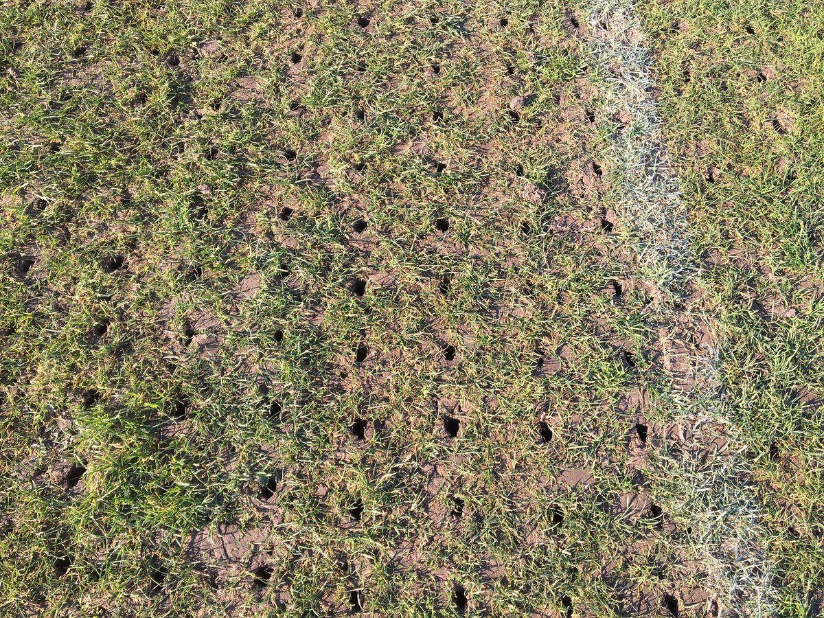 NatuurlijkGroen's tweet image. #Goed #Bezig #JosScholman @JosScholman