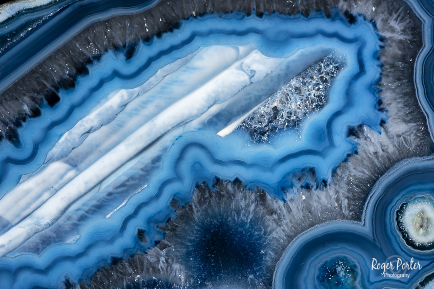 Roger Porter Photography tweet media