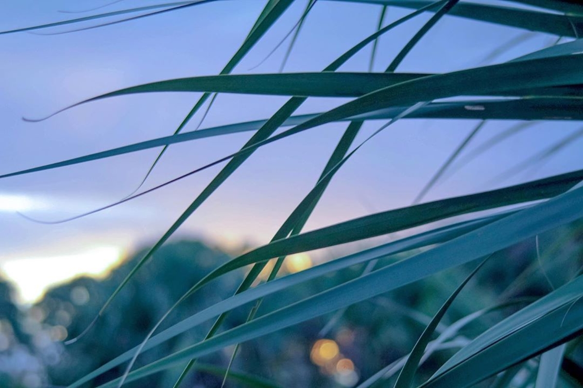 WorldCenter Marriott on Twitter: WorldCenter Marriott on Twitter: