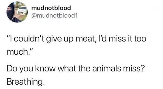 Tweet that says, "'I couldn't give up meat, I'd miss it too much.' You know what the animals miss? Breathing."
