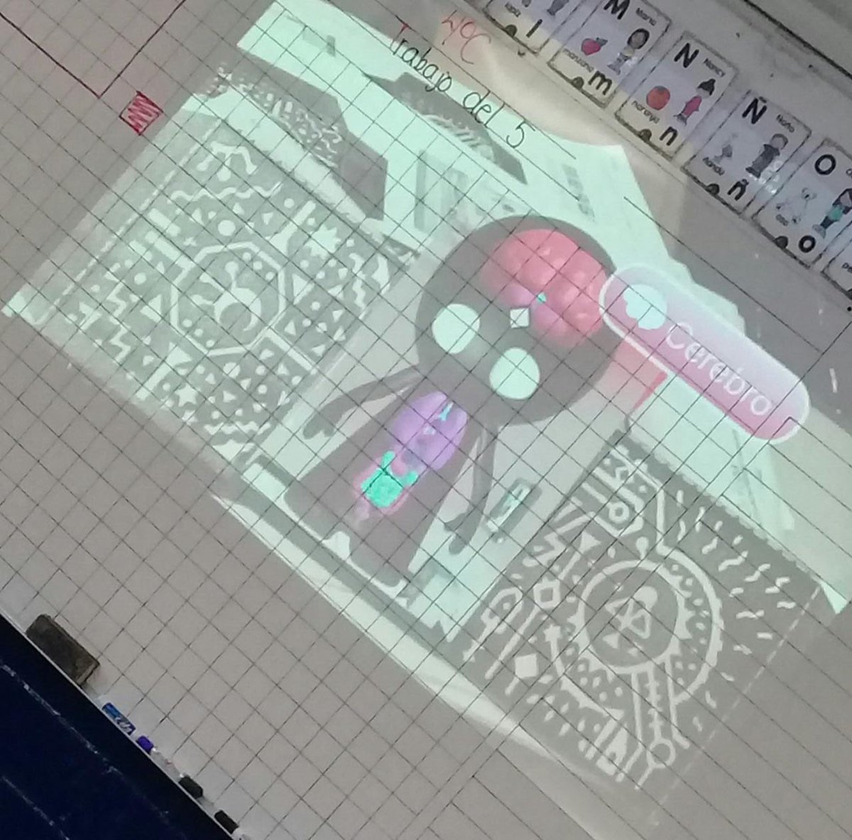 ReimsOficial's tweet photo. Desarrollo de planos con 4to de primaria. “Cuerpos geométricos y sistema circulatorio” #primariareims #Tecnologia #sistemacirculatorio https://t.co/vYYs24knOP