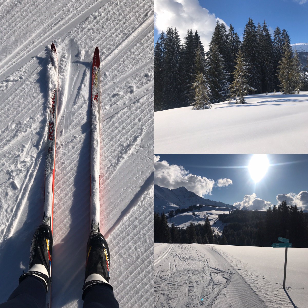 TSthelimit's tweet photo. #marathonprep in winter wonderland❄️☀️ #EnjoyingEverydayLife 
#emf2020
#MPC2020 #mypeakchallange https://t.co/bWa79stN89