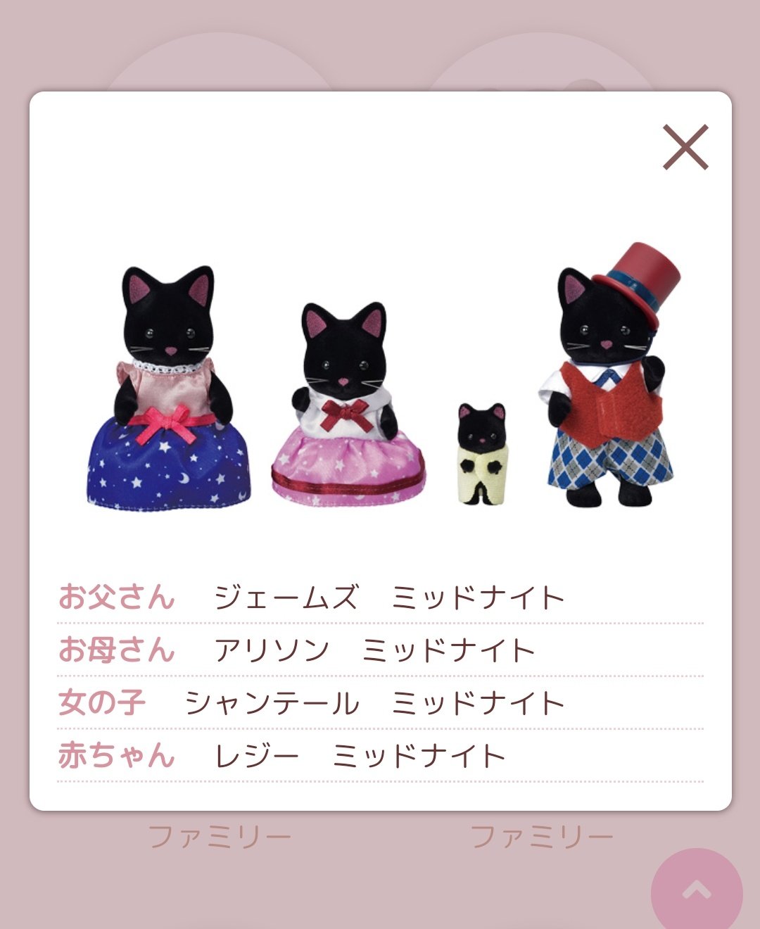 ほづみ この世にこんな可愛い名字あんの ってくらいかわいい名前 の家族もいるのに なぜゴライトリー って思ったけど素敵な映画からとった名前ならシルクネコちゃんにぴったり って嬉しくなった 単純オタク 他の子たちもなんかそういう由来が