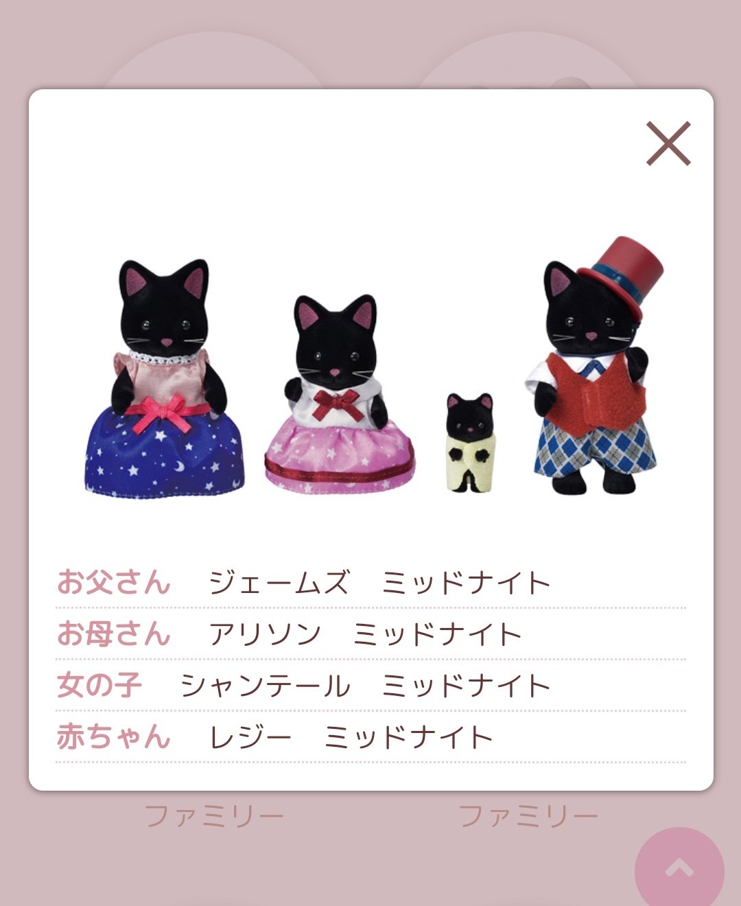 ほづみ Na Twitterze この世にこんな可愛い名字あんの ってくらいかわいい名前 の家族もいるのに なぜゴライトリー って思ったけど素敵な映画からとった名前ならシルクネコちゃんにぴったり って嬉しくなった 単純オタク 他の子たちもなんかそういう由来が